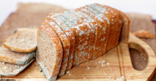 Что произойдет с организмом, если съесть заплесневелый хлеб