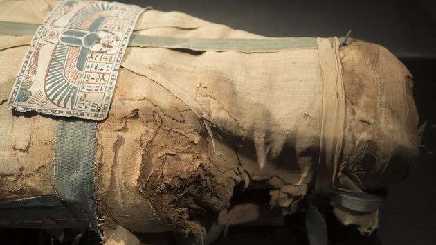 Проклятие фараонов: археологи против, чтобы власти Египта перемещали гробницу в музей
