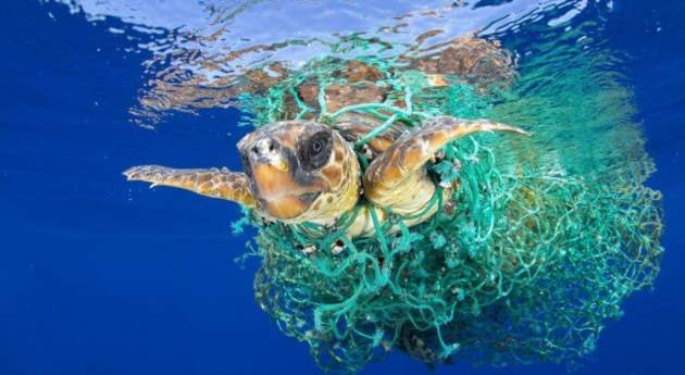 Найден способ удалить из мирового океана весь пластик