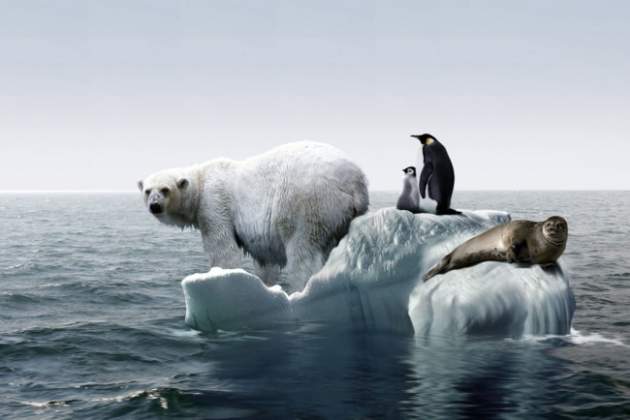 В Арктике зафиксировали 34-градусную жару: климатологи ошеломлены