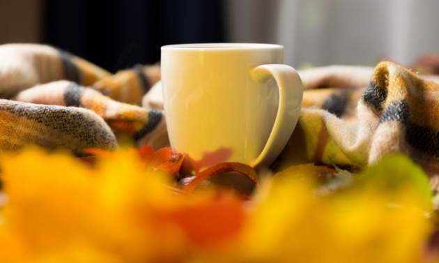 С 1 по 15 сентября должно повезти этим знакам Зодиака