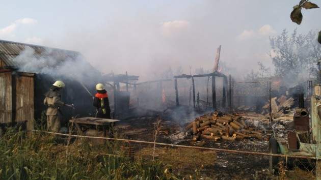 Под Киевом при выжигании сухой травы погибла семейная пара
