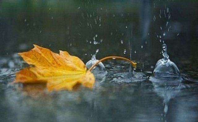 Украину накроют дожди и похолодание