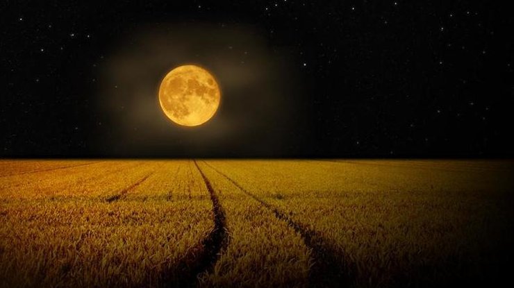 Урожайная Луна 13 сентября: в следующий раз мы увидим только через 30 лет