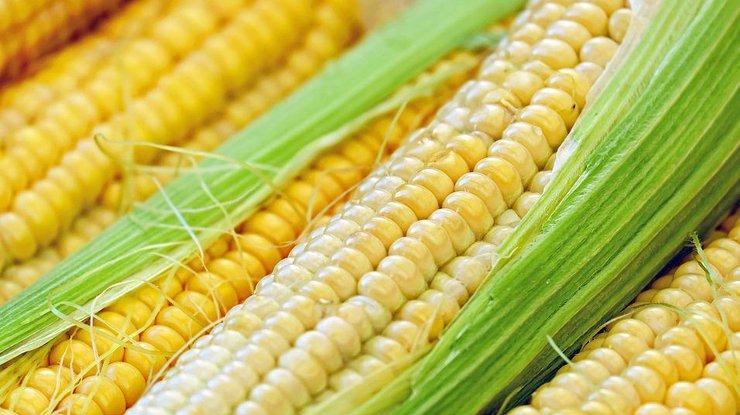 Кому лучше не есть кукурузу: предостережение врачей