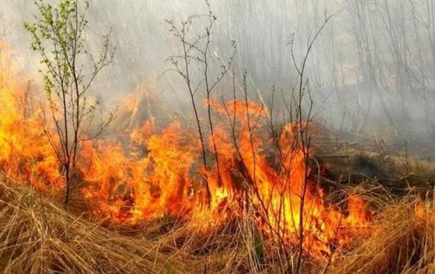 Природные пожары "окружают" Киев