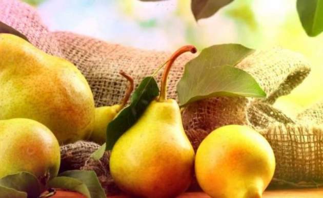 ЕС запретил импорт украинских фруктов