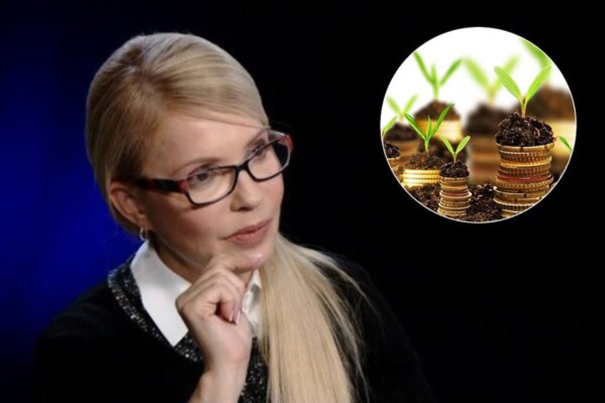 Тимошенко сделала громкое заявление о моратории на землю