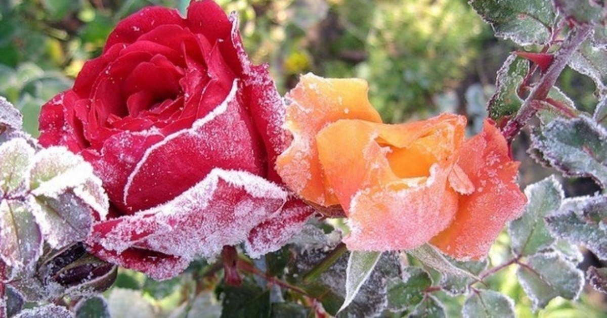 Заходит потепление, но пока до минус 5: погода в Украине