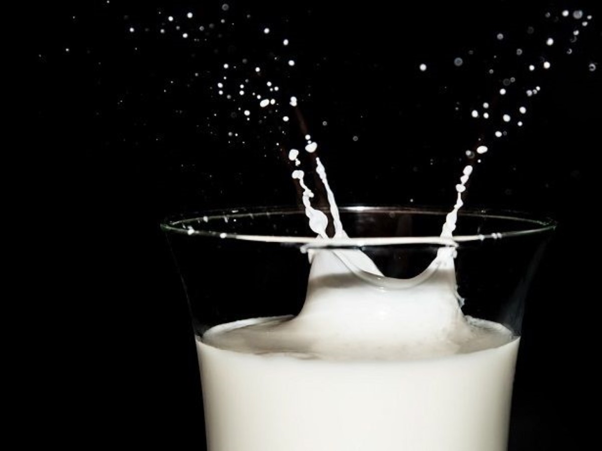 ВОЗ рекомендует снизить потребление молочных жиров