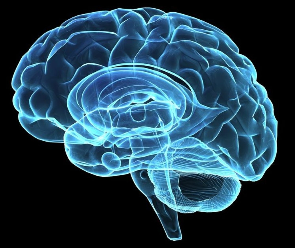 Названы 10 важных признаков старения мозга