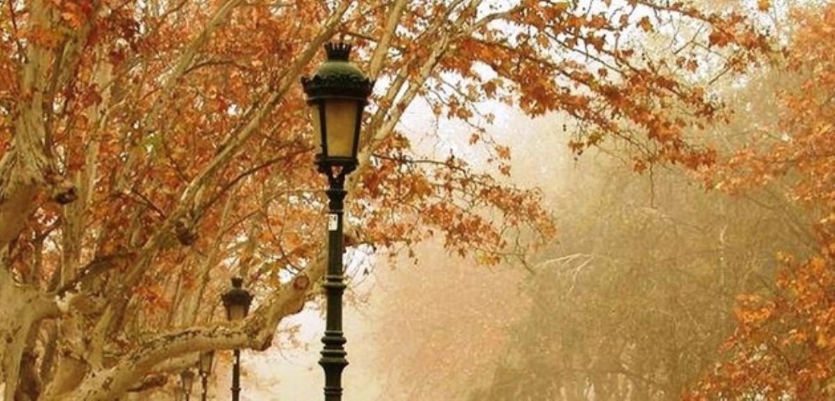 Гороскоп удачи на ноябрь: кого ожидает торжество