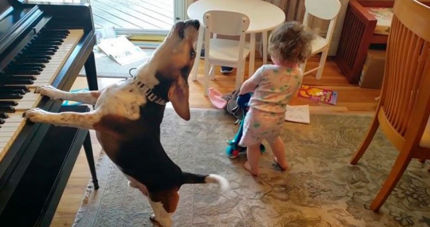 Отец снял видео, как его дочь пляшет под музыку пианино, на котором играет собака