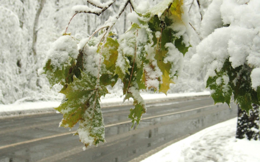 Морозы и сильный снег: получен прогноз погоды на ноябрь