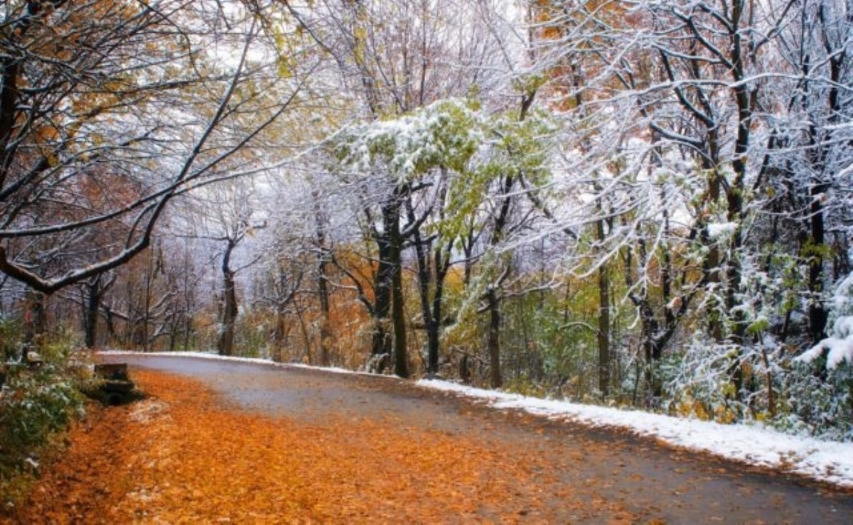Укргидрометцентр сообщил данные о погоде в ноябре