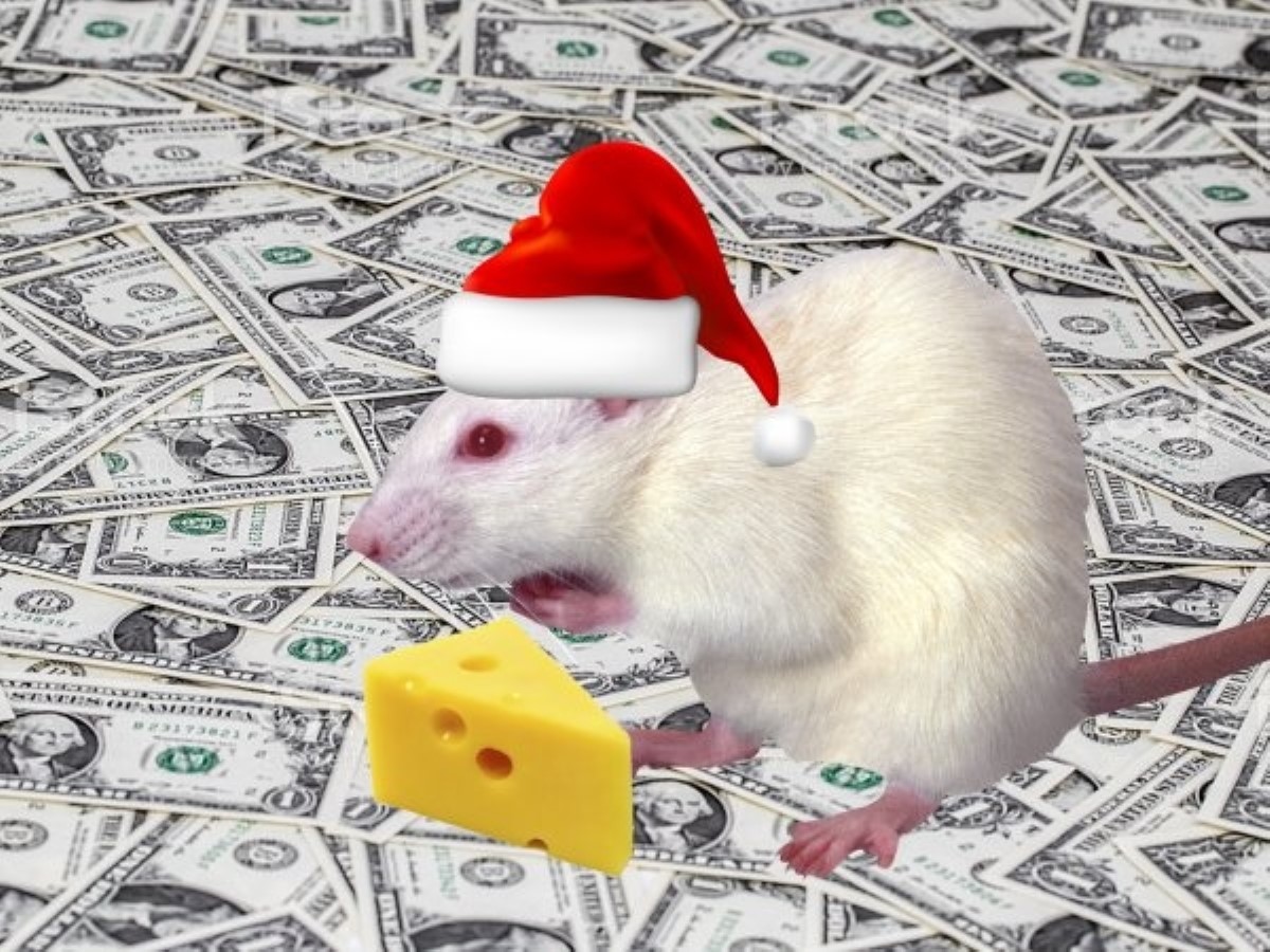 Денежная Крыса: как войти в Новый год с деньгами?