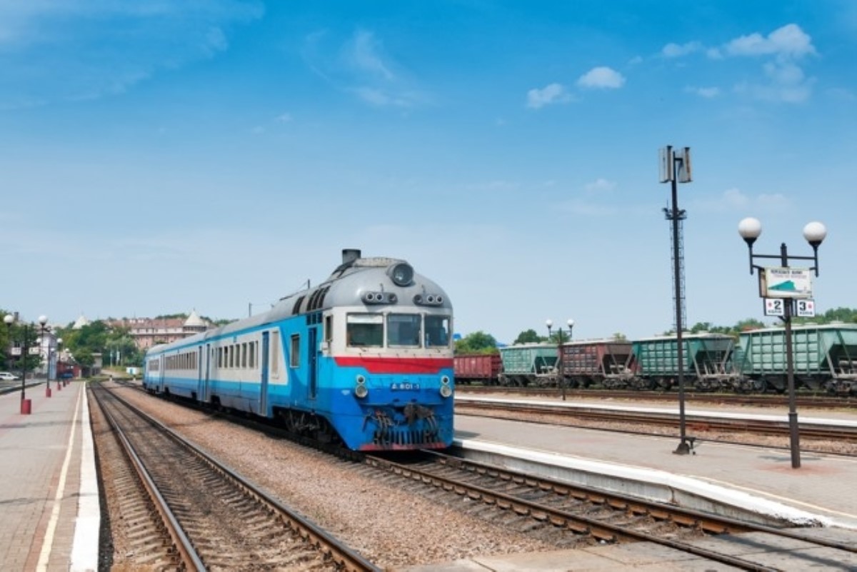 Выросшие в пассажирском поезде "Укрзализныци" грибы удивили сеть. Фото