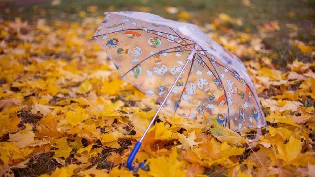 Прогноз погоды на 5 ноября: кое-где пригодятся зонты