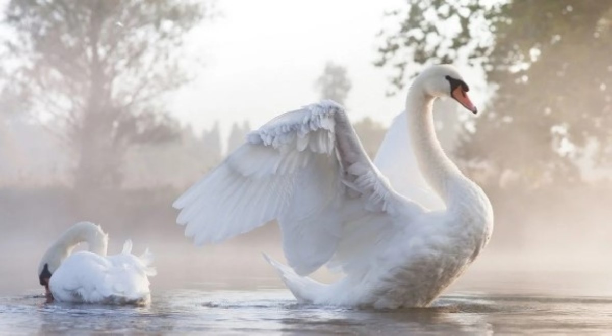 Мужские знаки Зодиака, способные любить только одну женщину