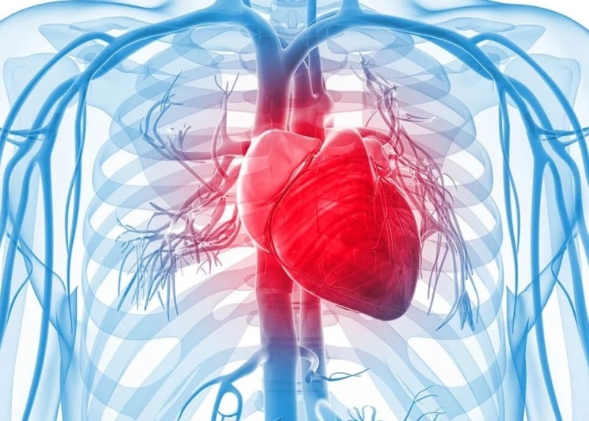 Названы 6 нетипичных признаков проблем с сердцем и сосудами