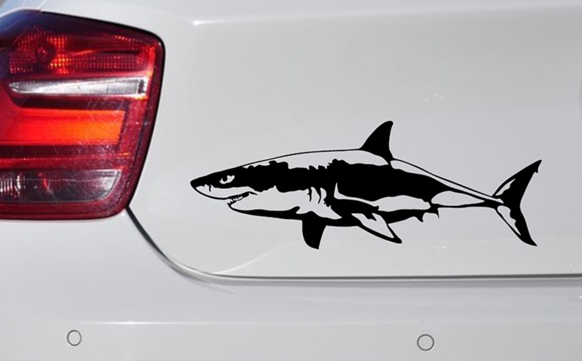 Что означает наклейка в виде акулы на багажнике