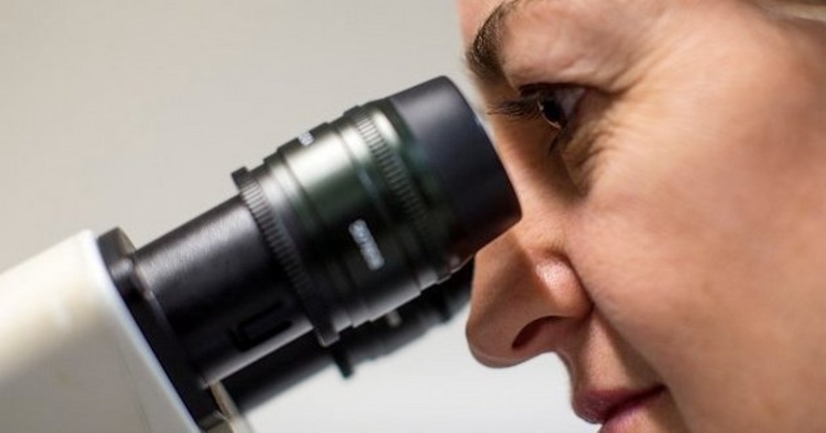 У человека обнаружен новый орган: чем удивили ученые