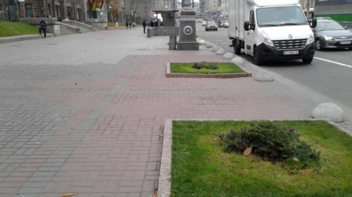 Зачем каштаны в центре Киева заменили жалкими кустиками