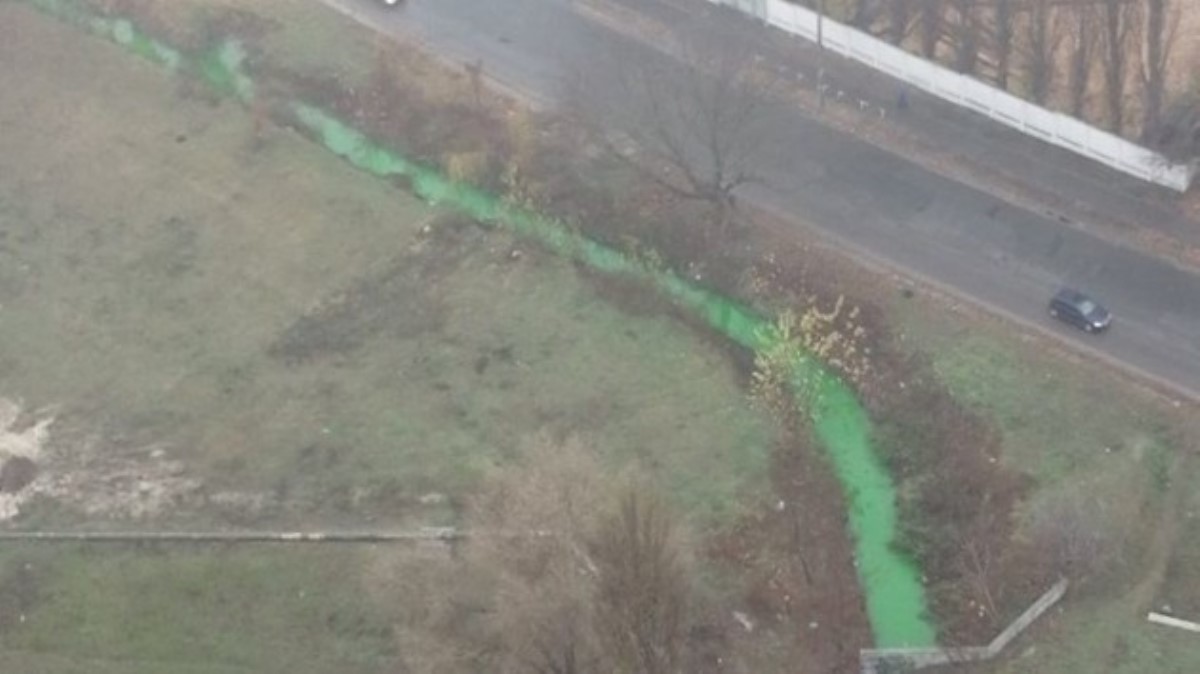 В Киеве река Дарница окрасилась в зеленый цвет