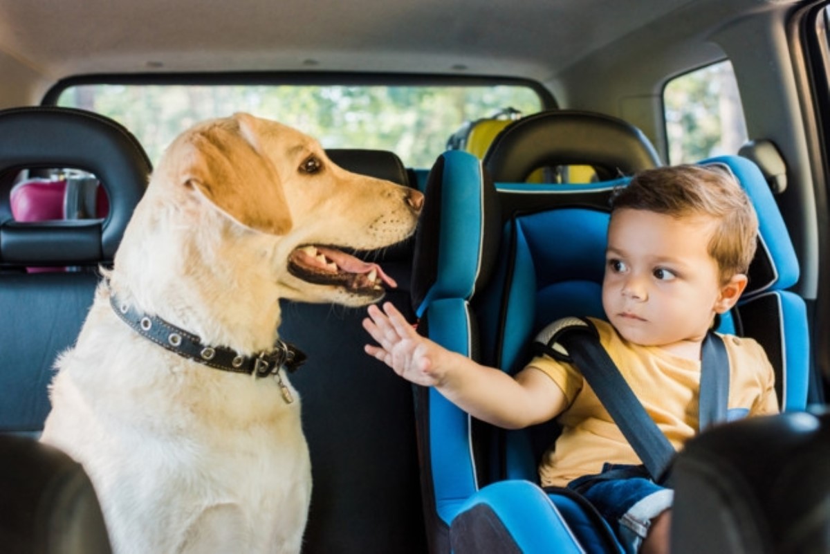 Новые правила перевозки ребенка в автомобиле: о чем нужно знать