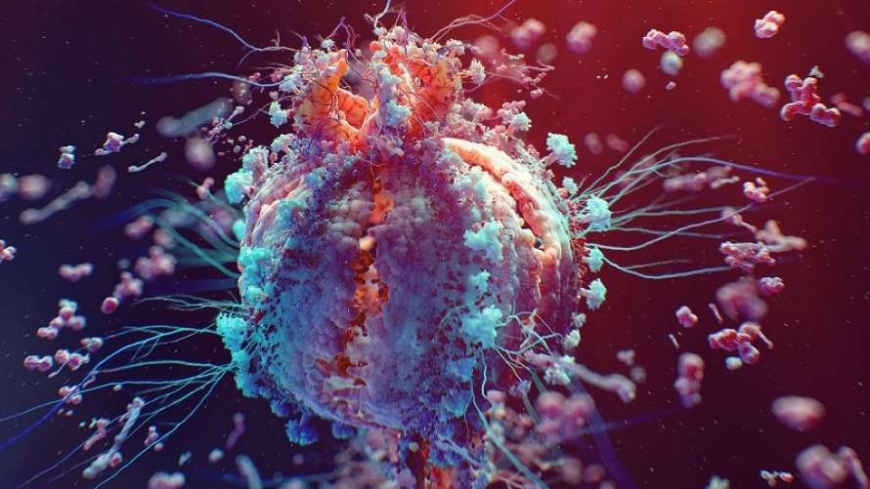 Медики назвали главные причины развития рака