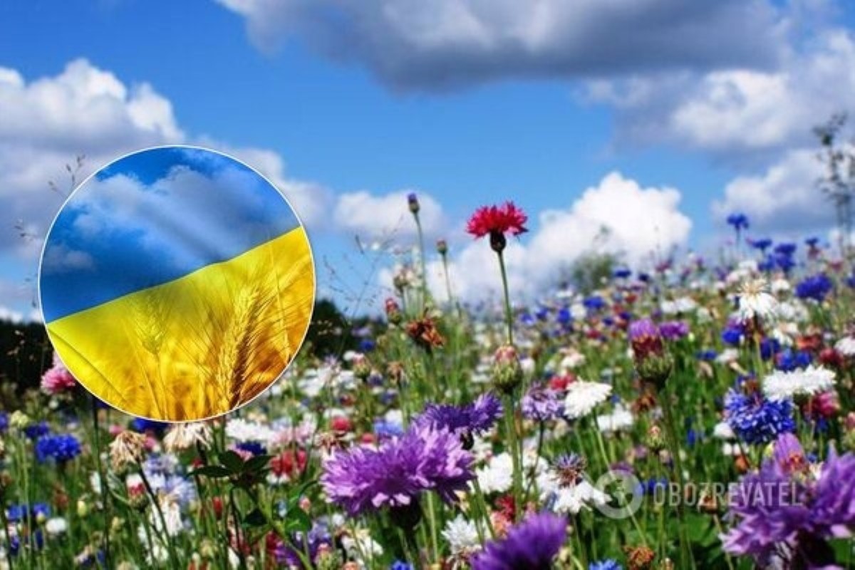 Гороскоп на следующий год: Украине пообещали "благоприятный сдвиг"