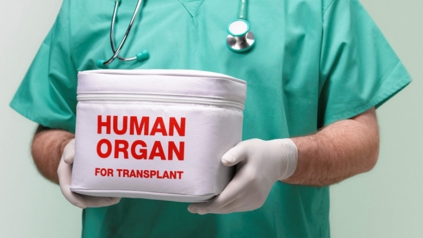 Запуск системы трансплантации органов: принято важное решение
