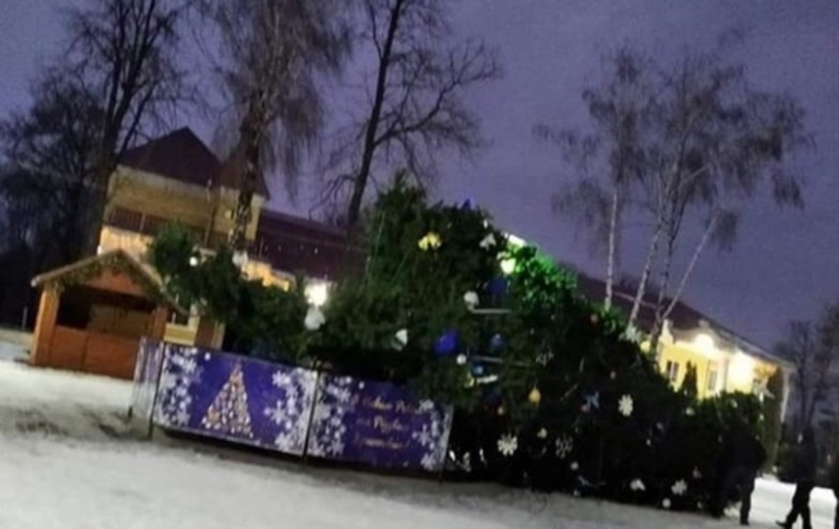 В Хмельницкой области упала главная городская елка. Фото