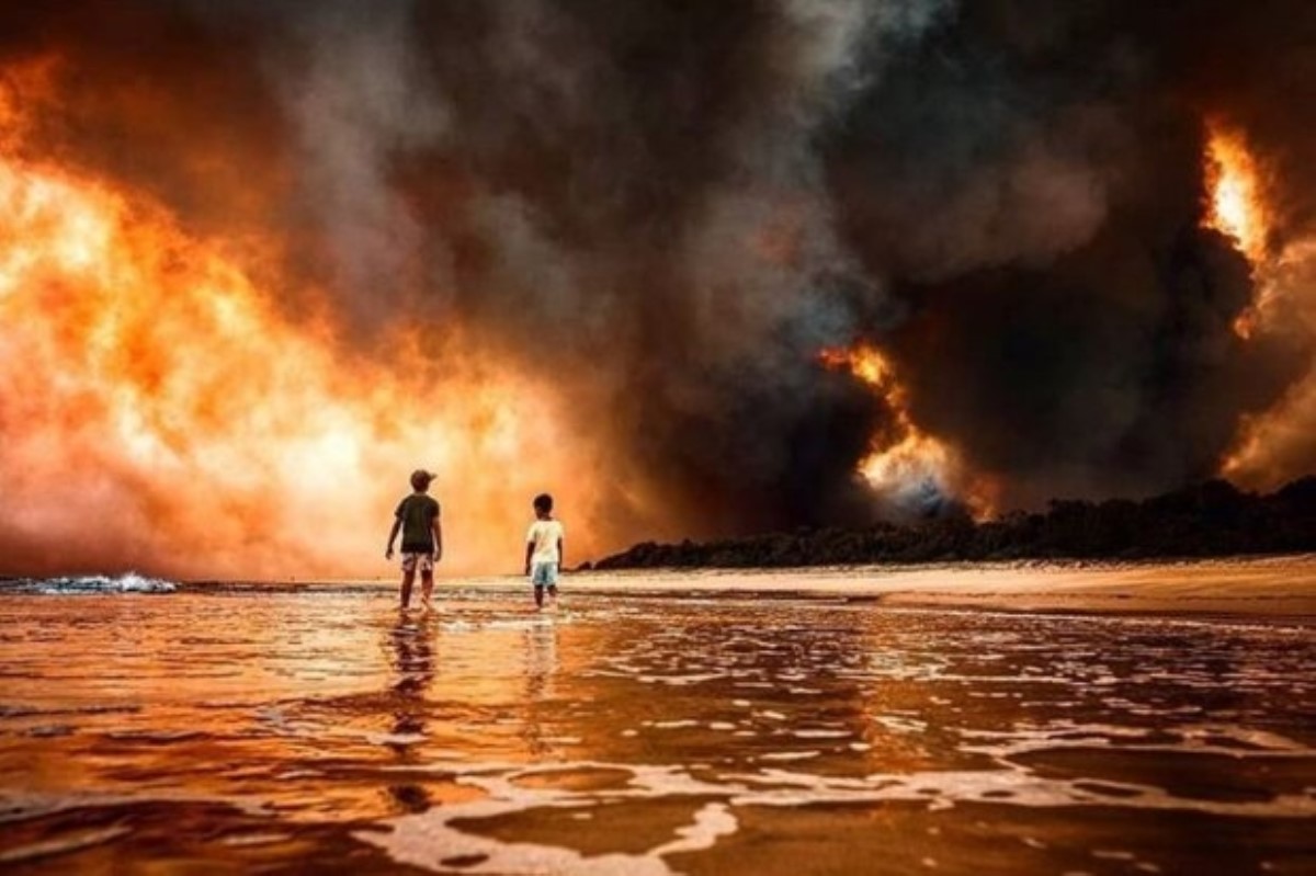 Шестая эра массового вымирания: через 10 лет люди могут не выжить