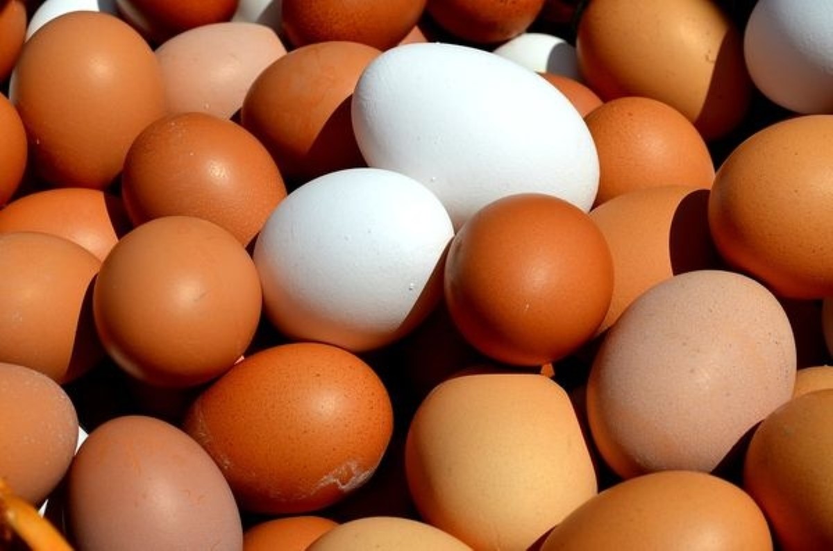 10 фактов про сырые яйца, которые нужно знать каждому