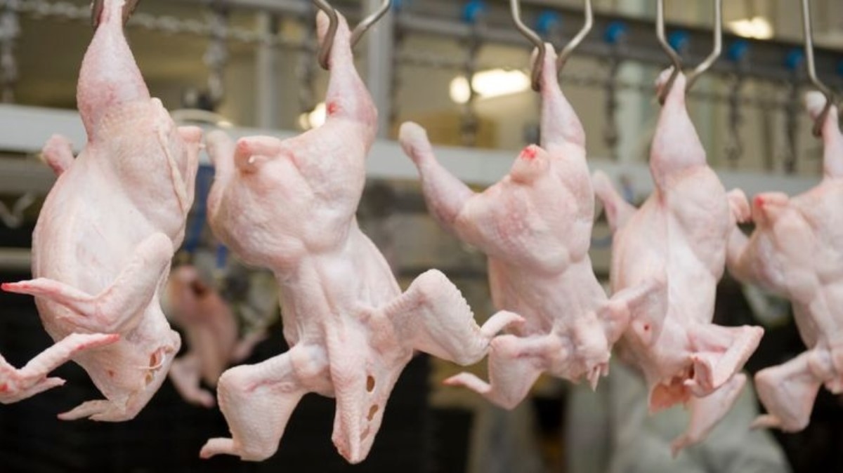 ЕС "ошеломляюще неожиданно" приостановил ввоз украинской курятины