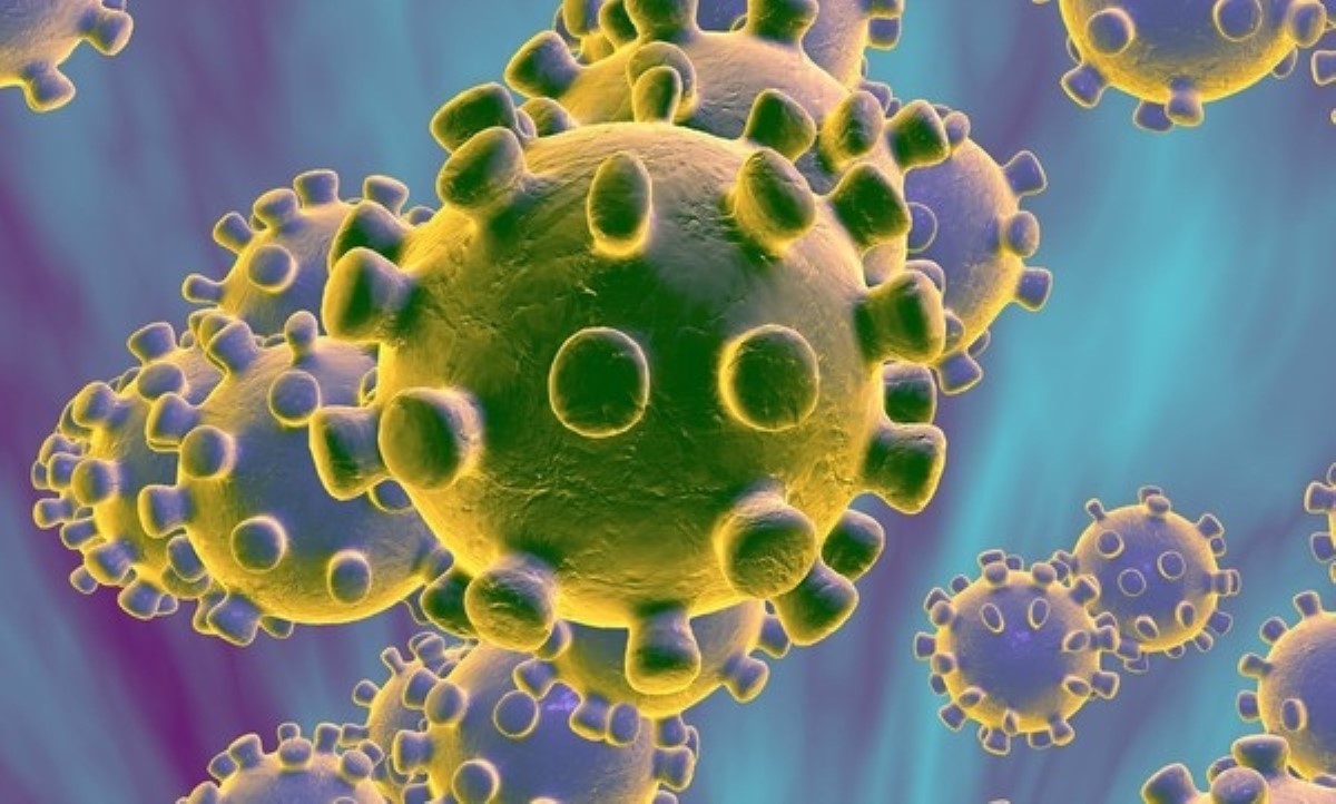 Выявлено антитело, способное нейтрализовать коронавирус