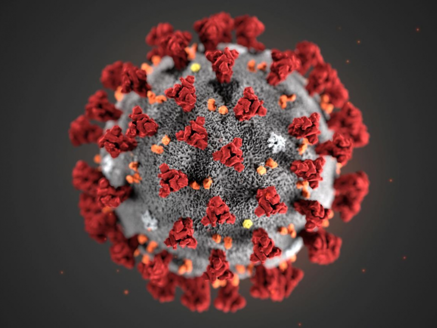 ЧС международного масштаба: ВОЗ объявила чрезвычайное положение из-за коронавируса