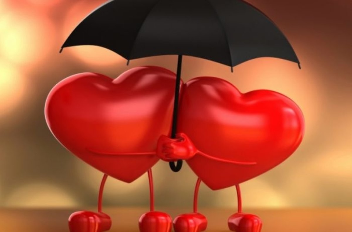 Цветок любви: как привлечь отношения 14 февраля