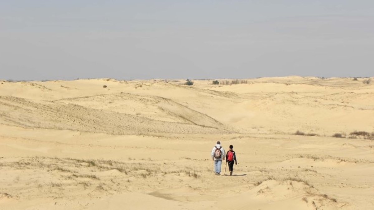 Климатолог спрогнозировала жаркое лето в Украине