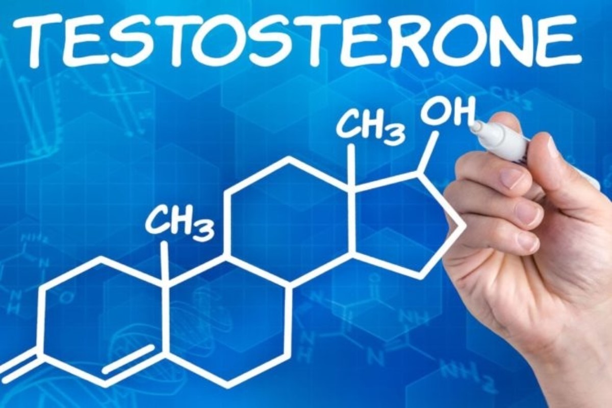Стало известно, как уровень тестостерона влияет на риск развития рака