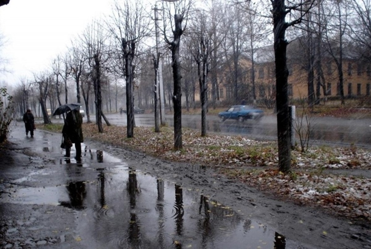"Зимы закончились": названы последствия глобального потепления в Украине