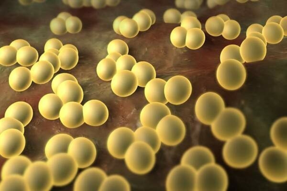 «Эта инфекция не лечится»: Комаровский удивил правдой об известной болезни