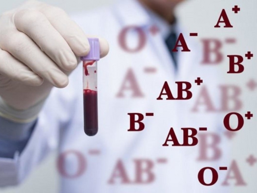 Группа крови: какие черты присущи обладателям каждой