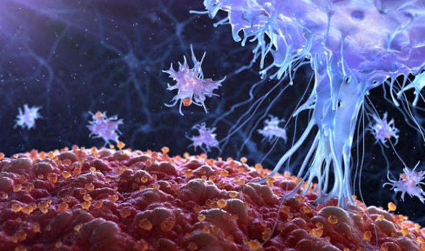 Развенчаны три самых глупых мифа об онкологии