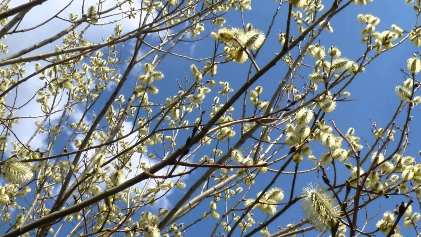 Погода в Украине резко изменится