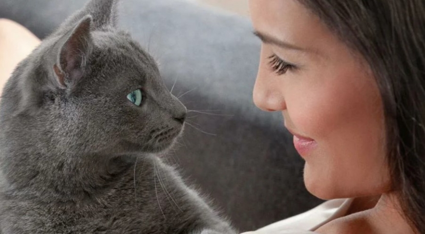 Вот почему смотреть кошке в глаза – не самое лучшее решение
