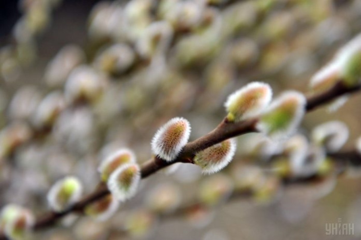 На Украину надвигается значительное похолодание
