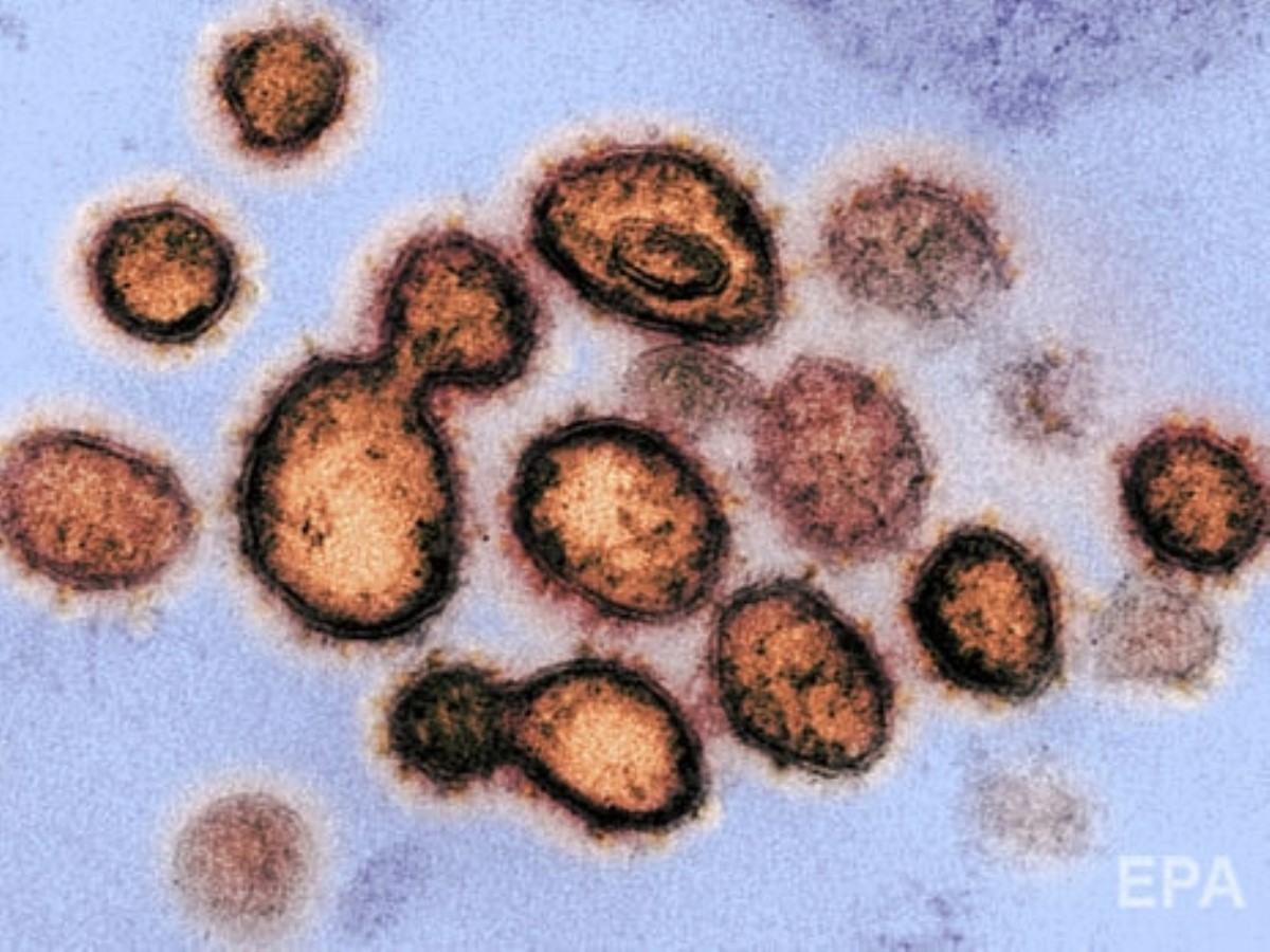 Что происходит с организмом, когда человек заражается коронавирусом