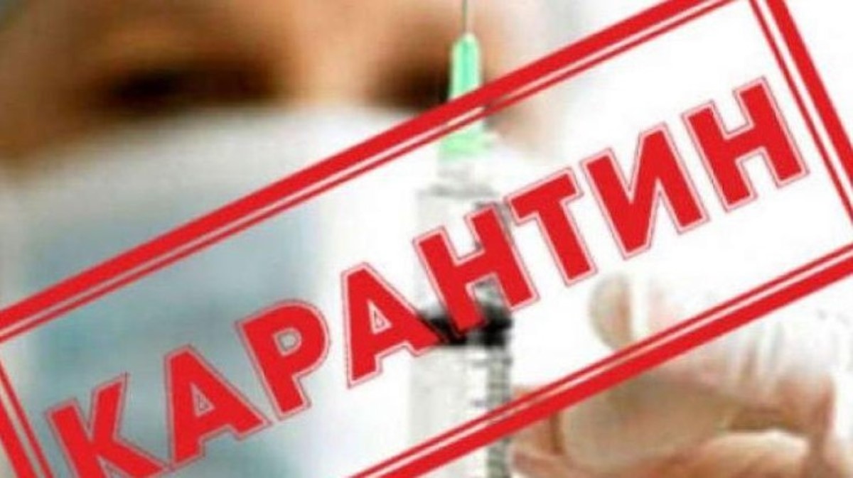 Игнорируете карантин? Несколько аргументов для непослушных украинцев